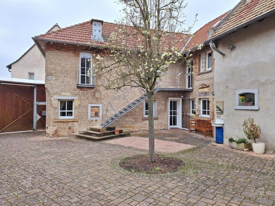 Ferienwohnung Tante Trude Bad Kreuznach Kültér fotó